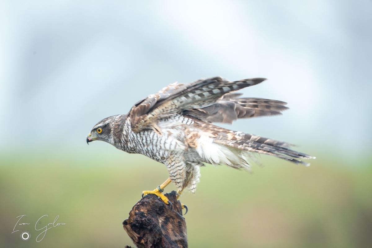 1DX46048 12 december 2021 1223 41